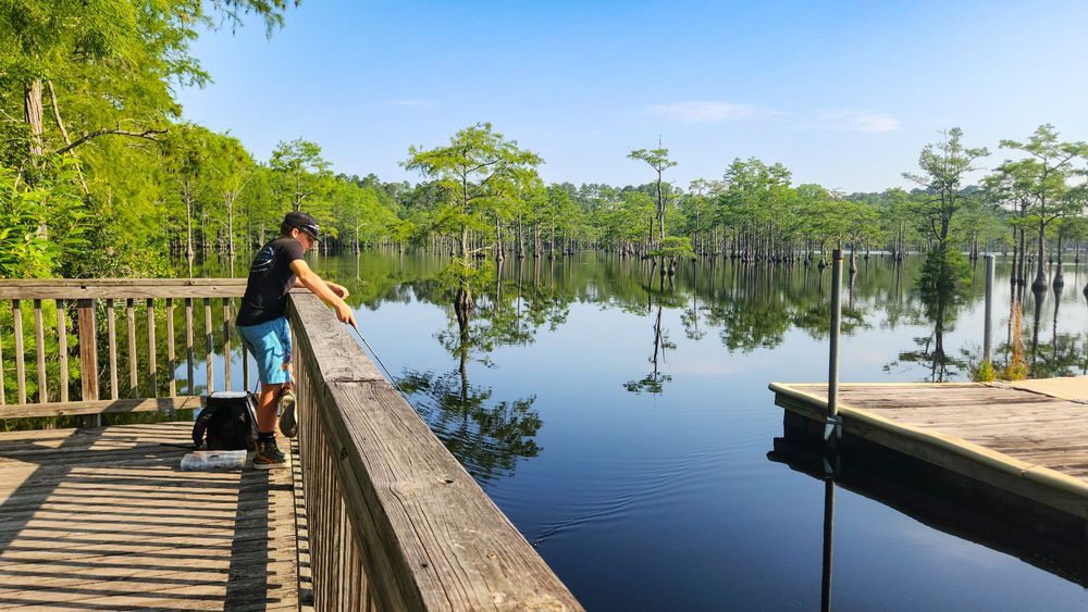 George L. Smith State Park millpond and cypress waters in Southeast Georgia